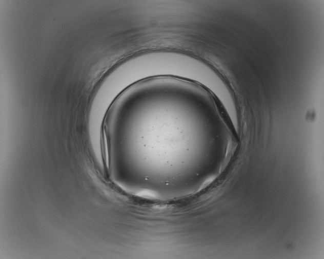 X0000113640493200910021920