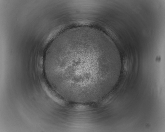 X0000113640494200910021920