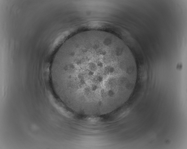 X0000113640495200910021920