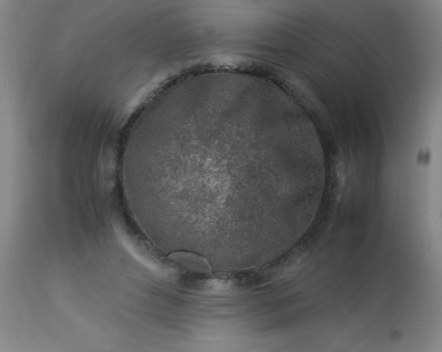 X0000113640496200910021920