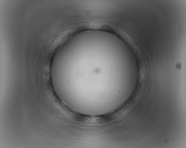 X0000113640497200910021920