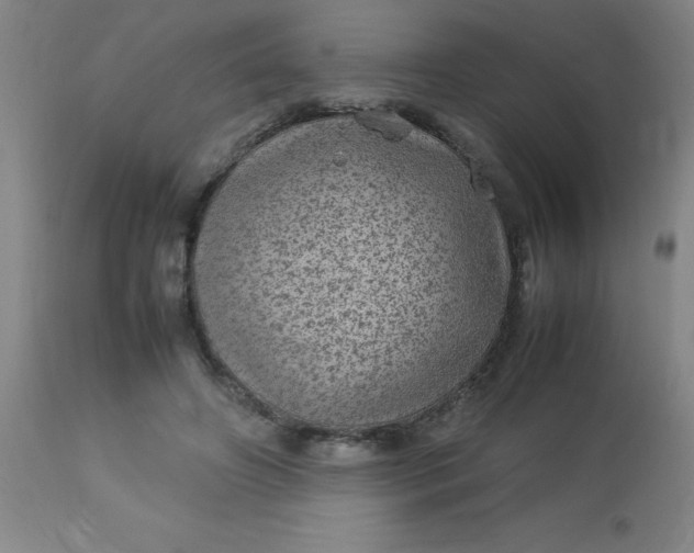 X0000113640498200910021920