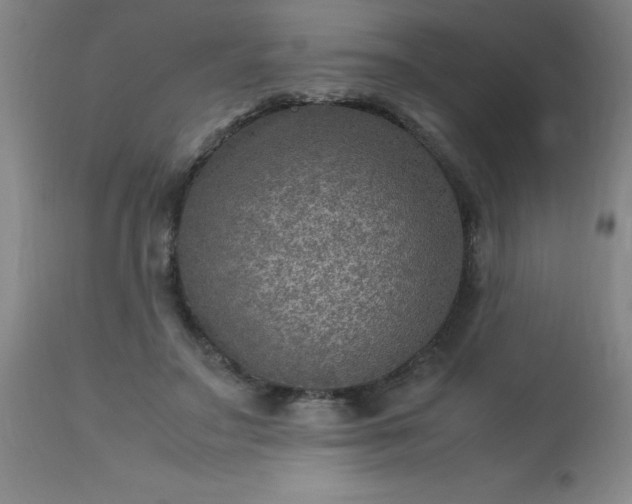 X0000113640499200910021920