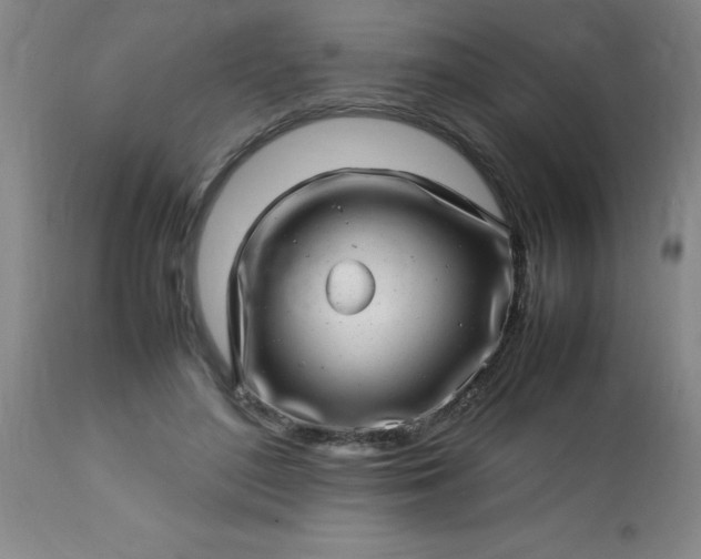 X0000113640500200910021920