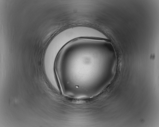 X0000113640501200910021920