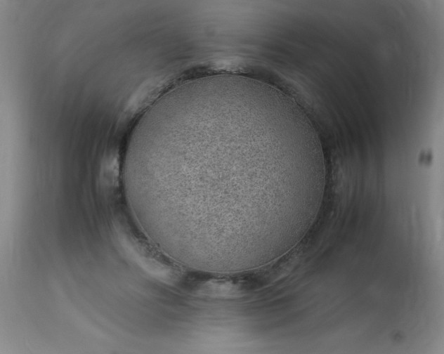 X0000113640502200910021920