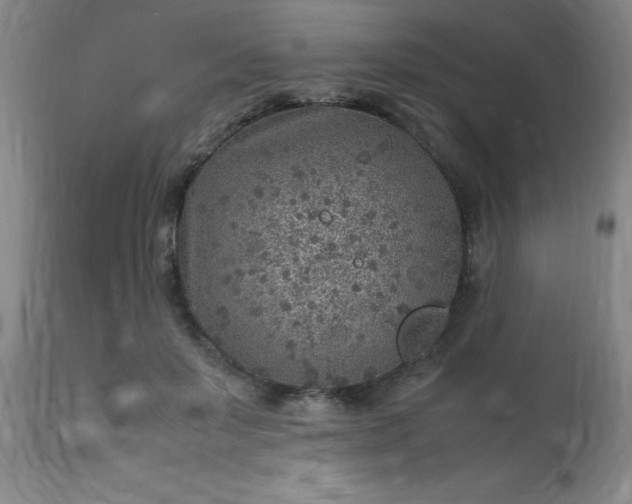 X0000113640503200910021920