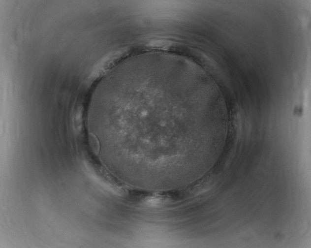 X0000113640504200910021920