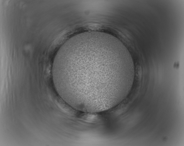 X0000113640507200910021920