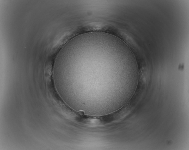 X0000113640509200910021919