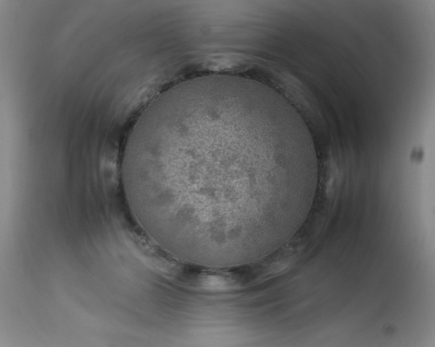 X0000113640510200910021919