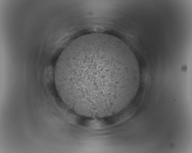 X0000113640511200910021919