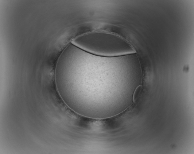 X0000113640513200910021919