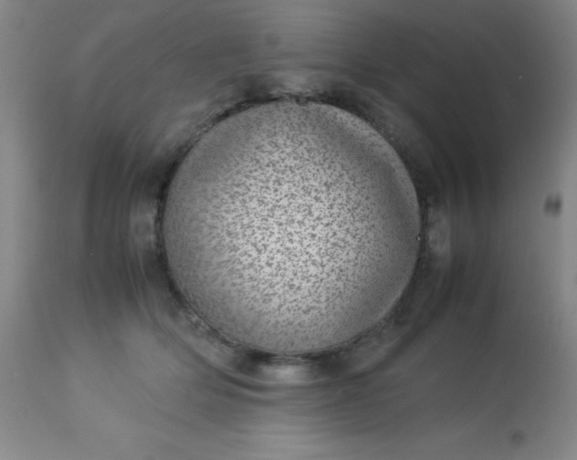 X0000113640514200910021919