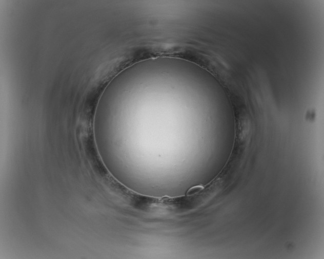 X0000113640515200910021919