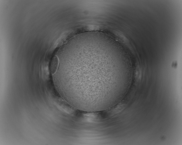 X0000113640516200910021919