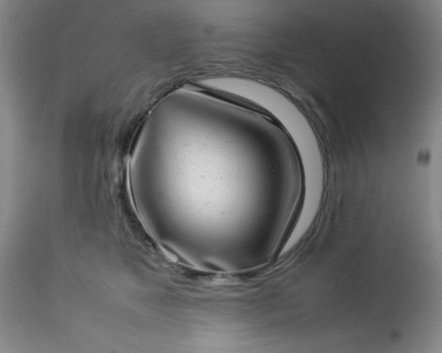 X0000113640517200910021919