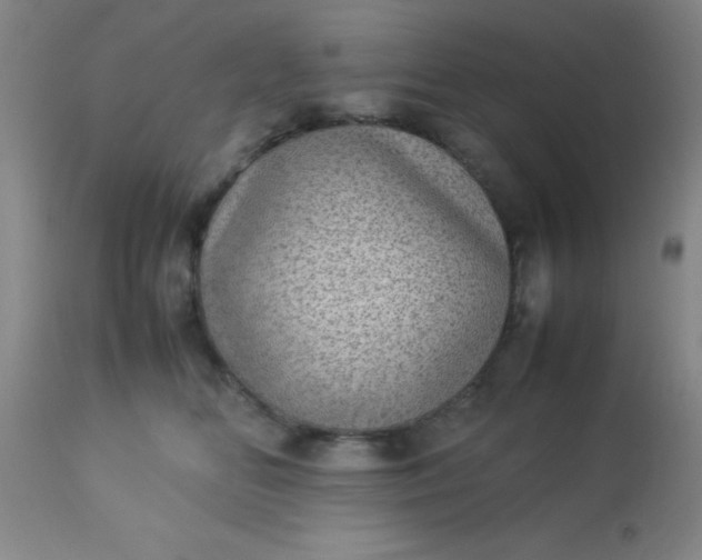 X0000113640518200910021919