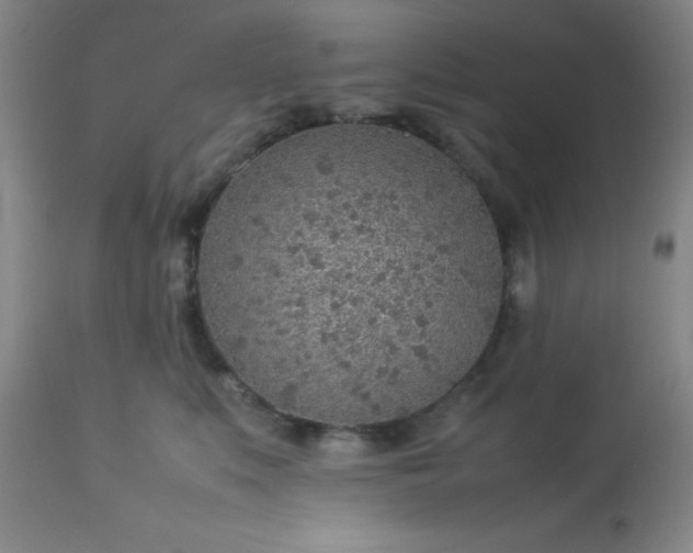 X0000113640519200910021919