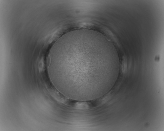 X0000113640520200910021919