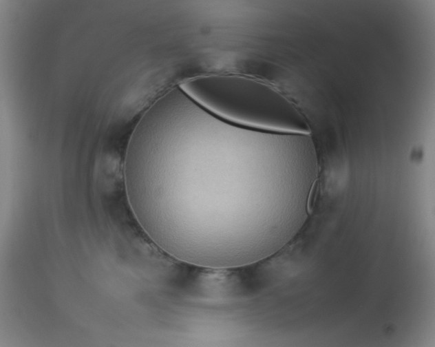 X0000113640521200910021919