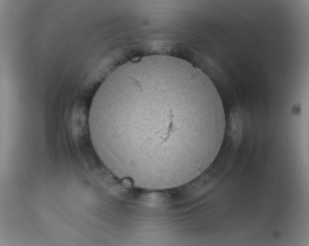 X0000113640522200910021919