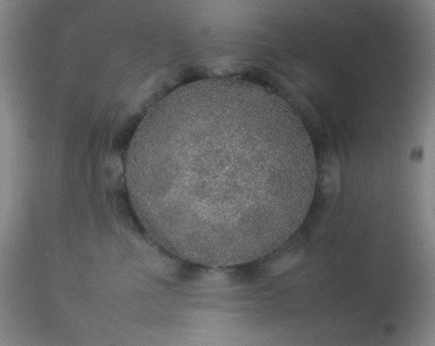 X0000113640523200910021919