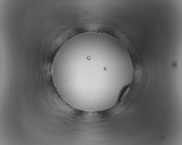 X0000113640525200910021919