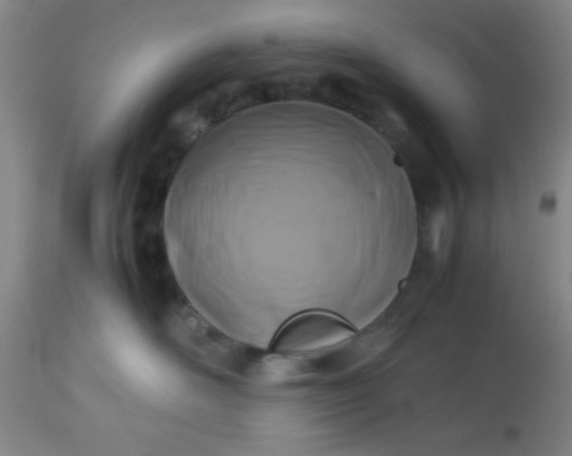 X0000113640526200910021919