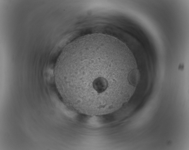 X0000113640527200910021919