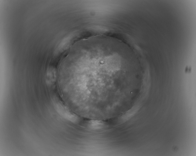 X0000113640528200910021919