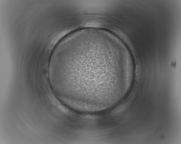 X0000113640529200910021919