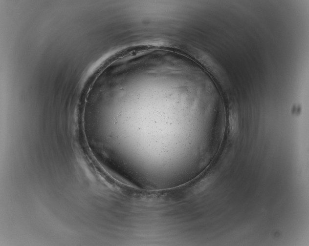 X0000113640532200910021919