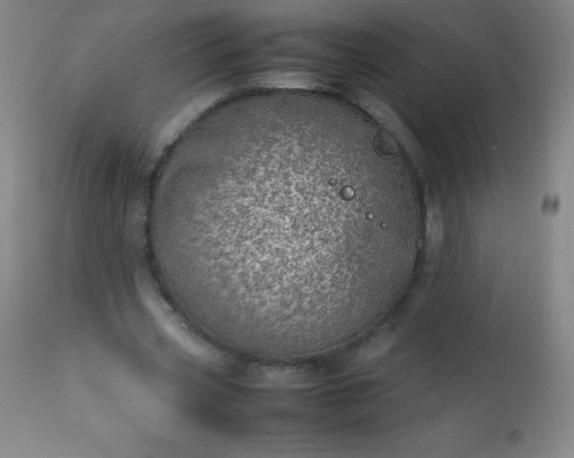 X0000113640533200910021919