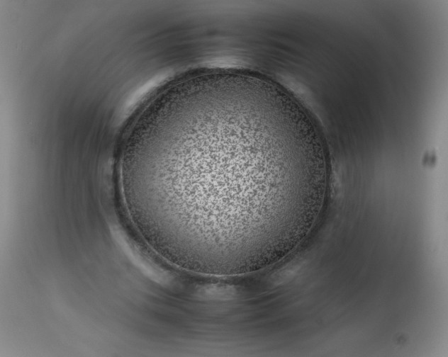 X0000113640535200910021919