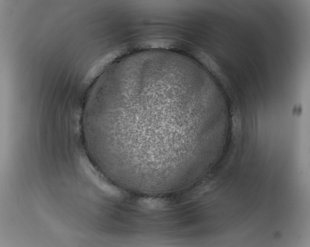 X0000113640537200910021919