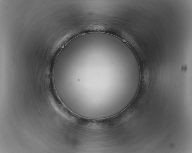 X0000113640538200910021919