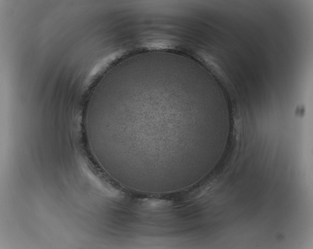 X0000113640539200910021919