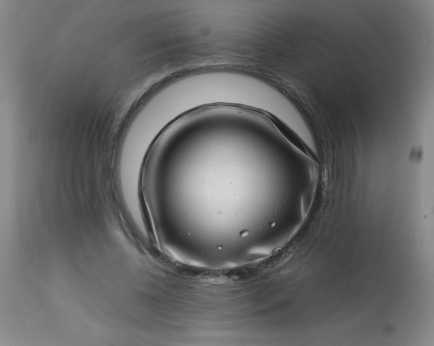 X0000113640540200910021919