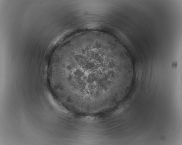 X0000113640542200910021919