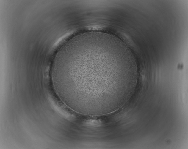 X0000113640543200910021919