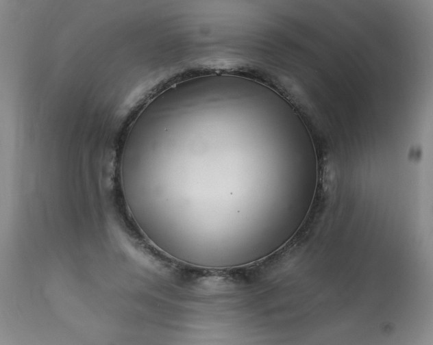 X0000113640544200910021919