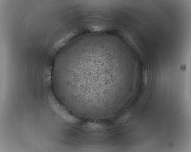 X0000113640545200910021919