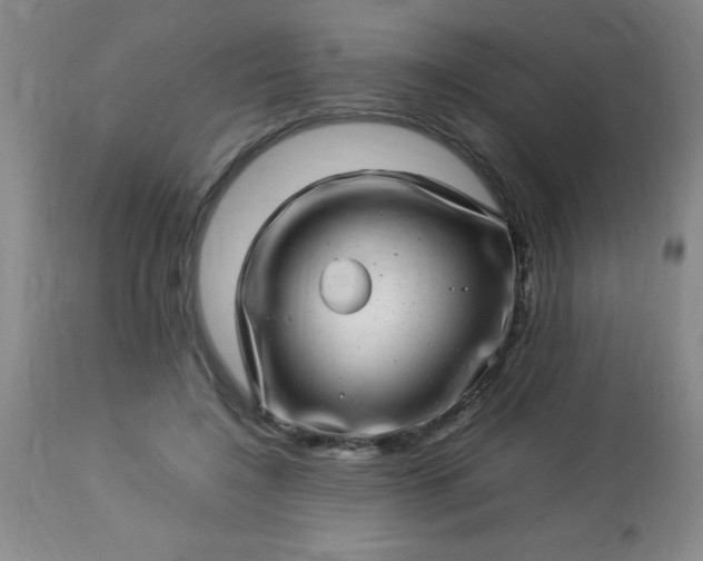 X0000113640548200910021919