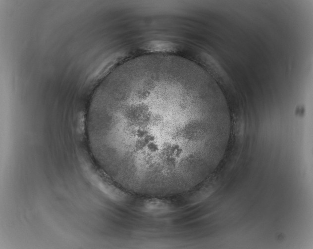 X0000113640549200910021919