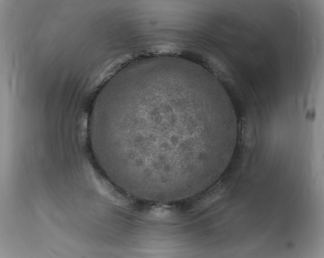 X0000113640550200910021919