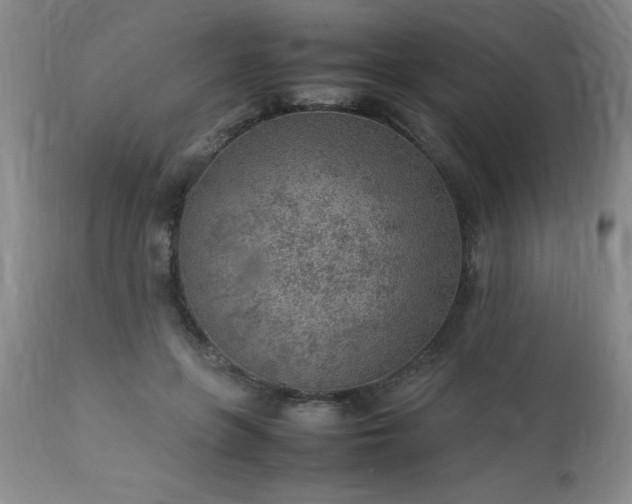 X0000113640551200910021919