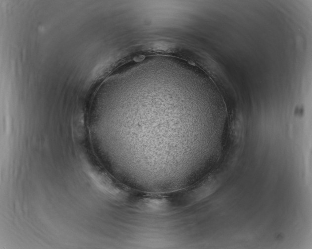 X0000113640552200910021919