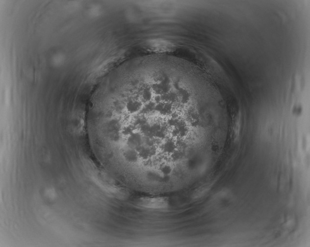 X0000113640553200910021919