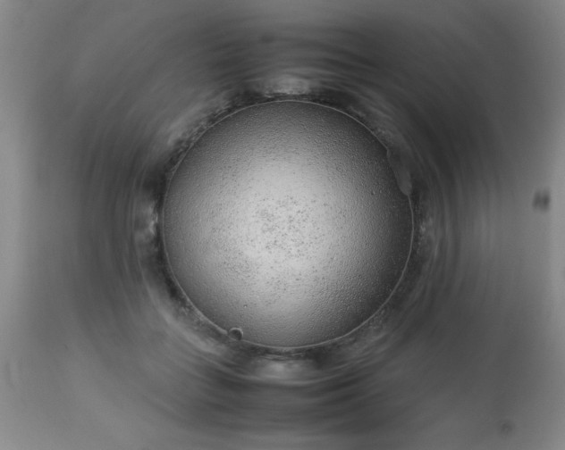 X0000113640555200910021919